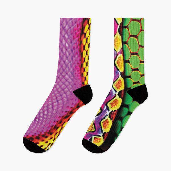 Item preview,   Colorful Snakes designed and sold by faizaart.
