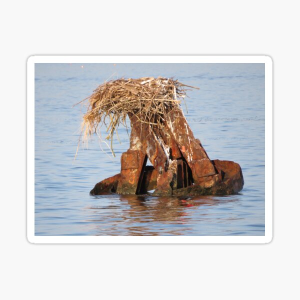 Item preview, Rusted Buoy designed and sold by Tonia Delozier's Photography .