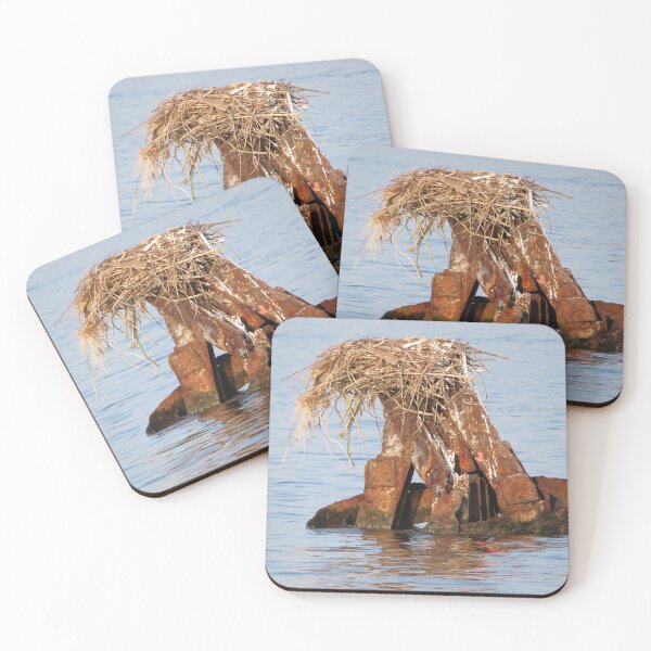 Item preview, Rusted Buoy designed and sold by Tonia Delozier's Photography .
