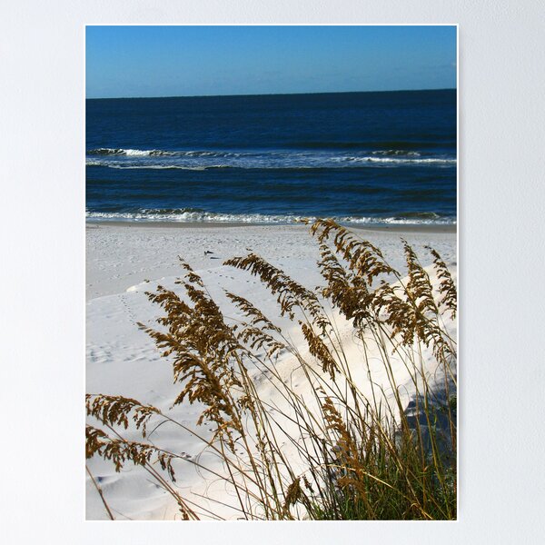 Item preview, Sea Oats and Sand Dunes designed and sold by Bradley Sumner.