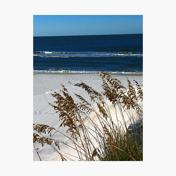 Item preview, Sea Oats and Sand Dunes designed and sold by Bradley Sumner.