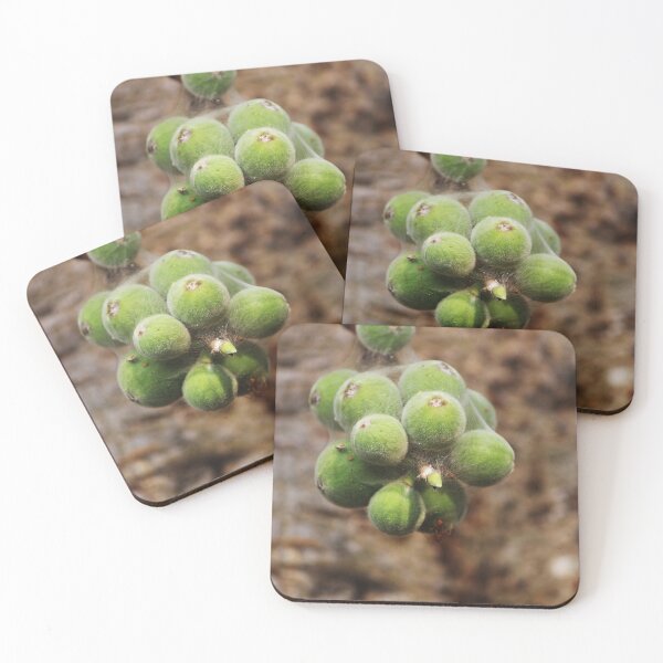 Item preview, Cluster Fig Fruits. designed and sold by VgBingi.