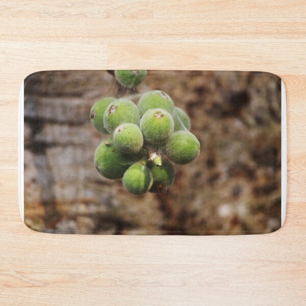 Item preview, Cluster Fig Fruits. designed and sold by VgBingi.