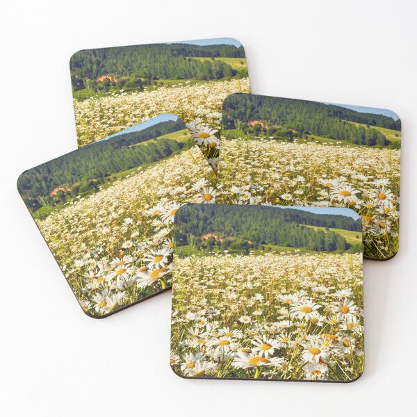 Item preview, A field full of Oxeye daisies on a summer's day. designed and sold by claireseyeview.