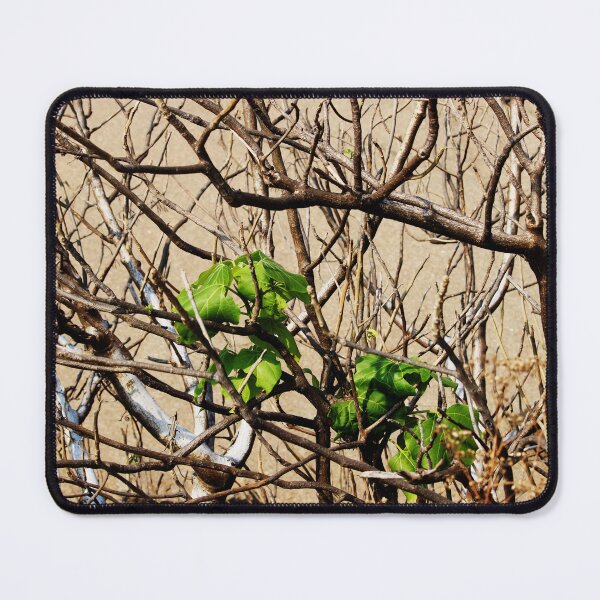 Item preview, Wild Dry Tree Branches. designed and sold by VgBingi.