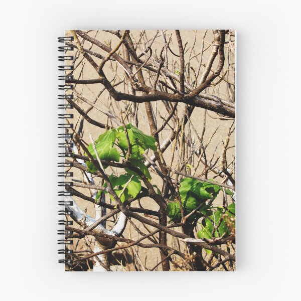 Item preview, Wild Dry Tree Branches. designed and sold by VgBingi.