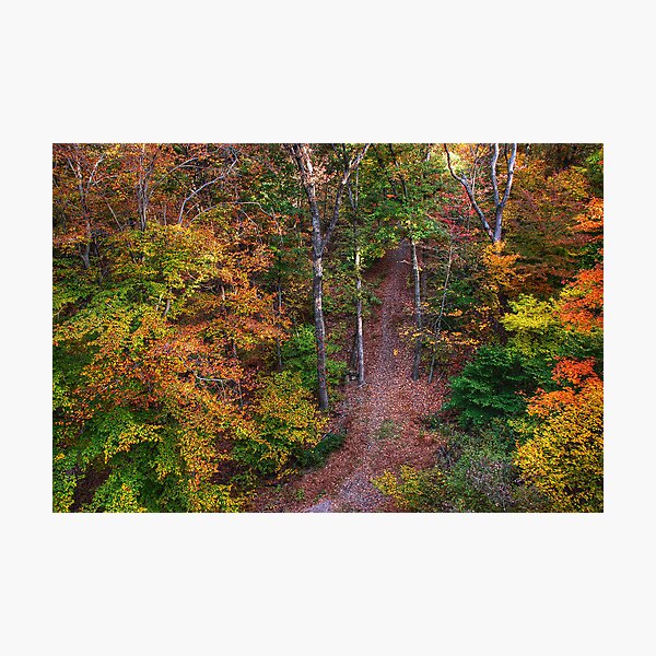 Artikelvorschau, Hiking  entworfen und verkauft von Elizabeth Eldridge.