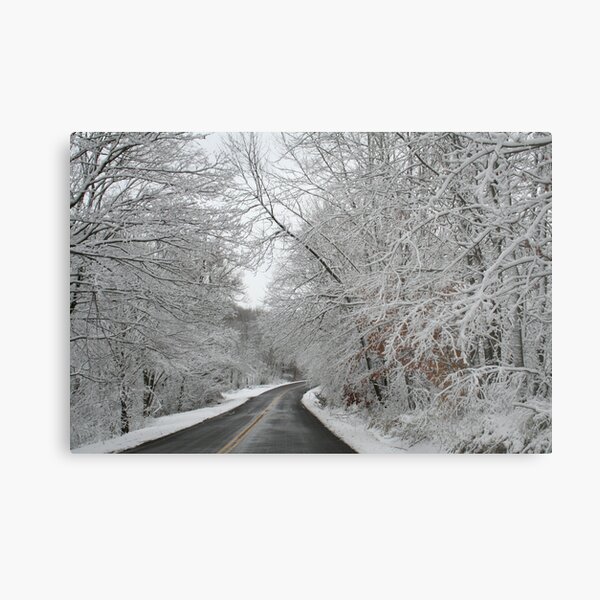 REDREAMING WINTERLANE Metal Print