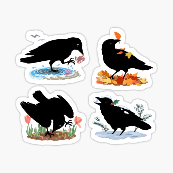Pin de Crowly Crows em Pictures  Roupas, Roupas personalizadas, Roupas  fofas