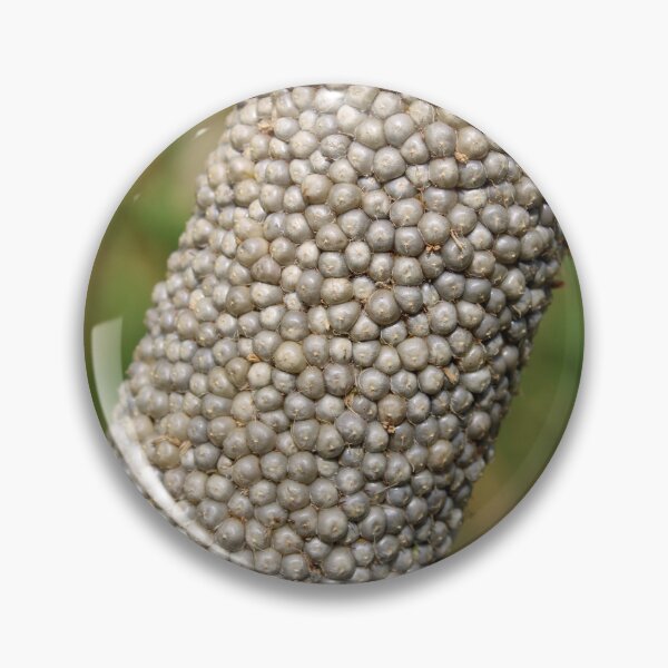 Item preview, Pearl Millet Head. designed and sold by VgBingi.