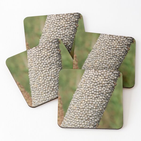 Item preview, Pearl Millet Head. designed and sold by VgBingi.