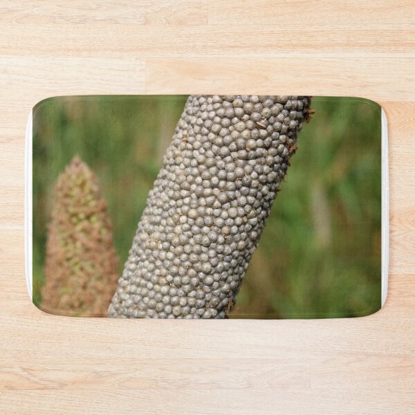 Item preview, Pearl Millet Head. designed and sold by VgBingi.