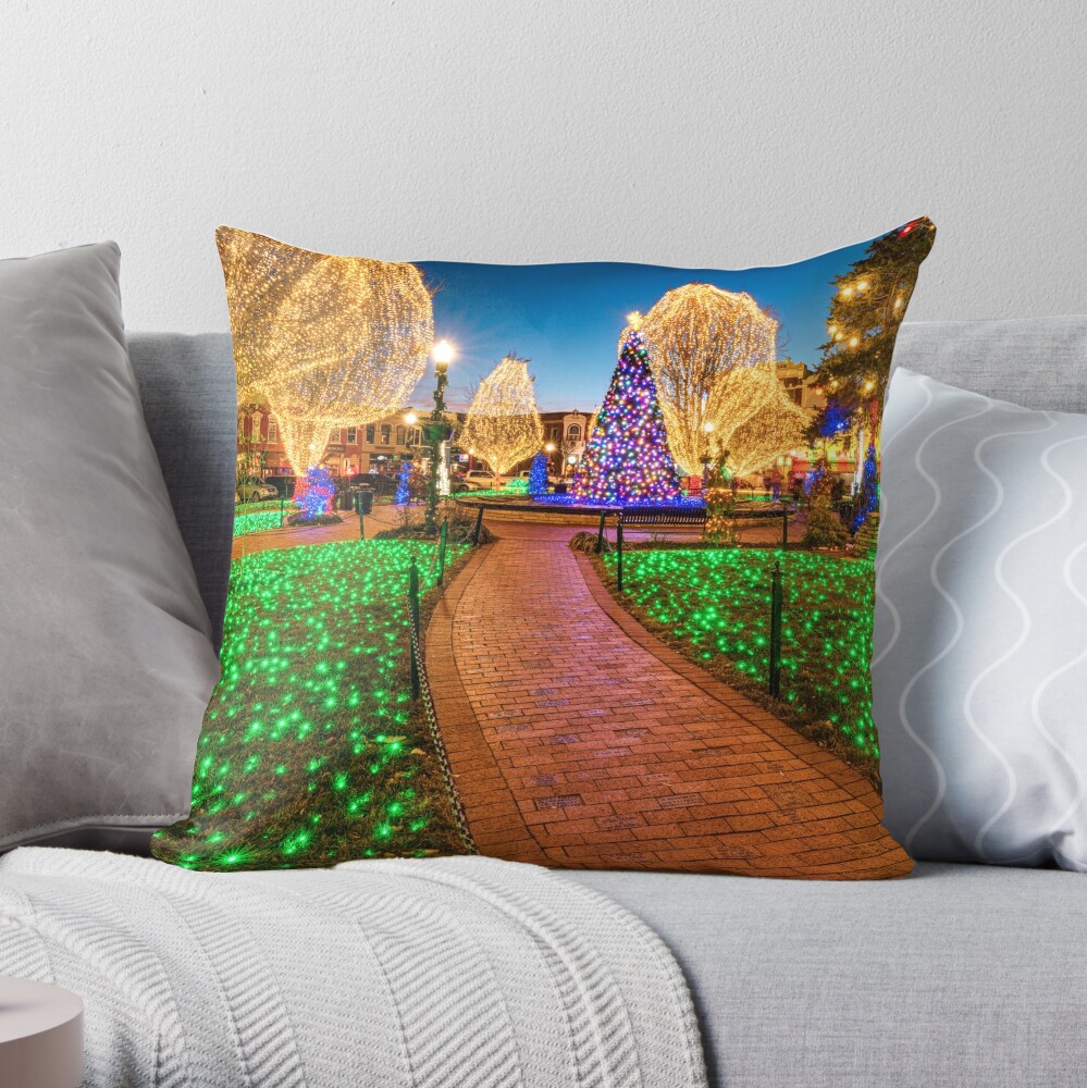 https://ih1.redbubble.net/image.4657612064.0176/throwpillow,medium,1000x-bg,f8f8f8-c,0,200,1000,1000.jpg