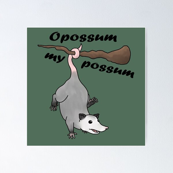 A Passel of Possums, possum love, fun, psychedelic Art Print for