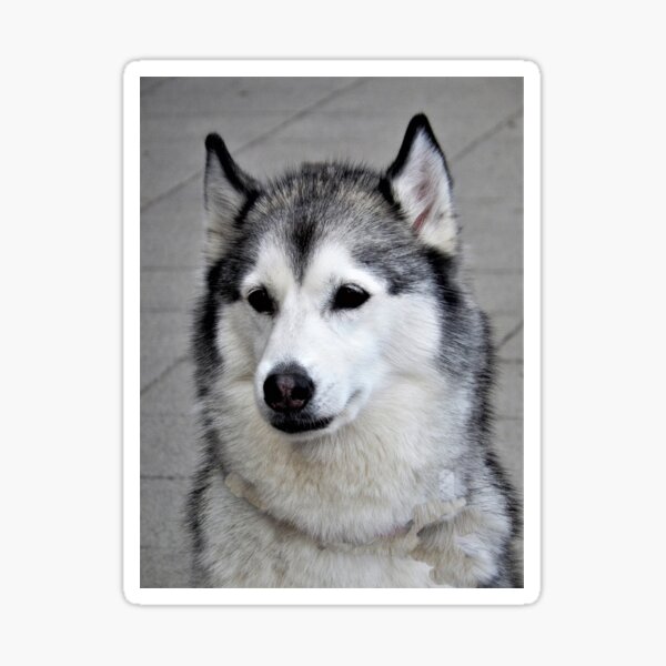 Item preview,   Handsome Chap designed and sold by Forfarlass.