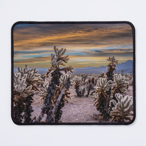 Item preview, Cholla Cactus Jungle designed and sold by GeorgeBuxbaum.