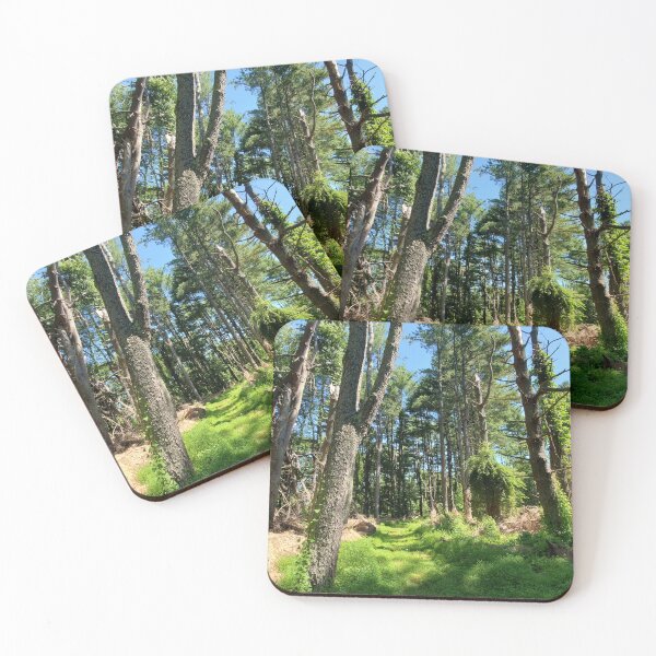 Item preview, New Jersey Hiking  designed and sold by Amanda Huggins.