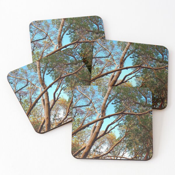 Item preview, Madrone Tree designed and sold by DTrickta.