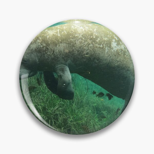 Item preview, Save the manatees  designed and sold by Bmusicjr.