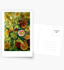 sunflowers Postcards