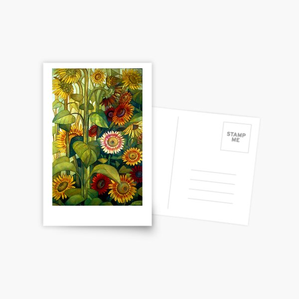 sunflowers Postcard