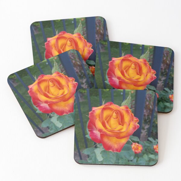 Item preview, Beautiful orange rose designed and sold by WildNature129.