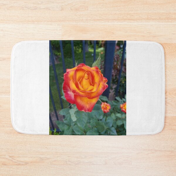 Item preview, Beautiful orange rose designed and sold by WildNature129.