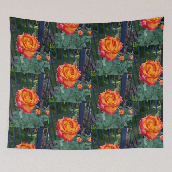 Item preview, Beautiful orange rose designed and sold by WildNature129.