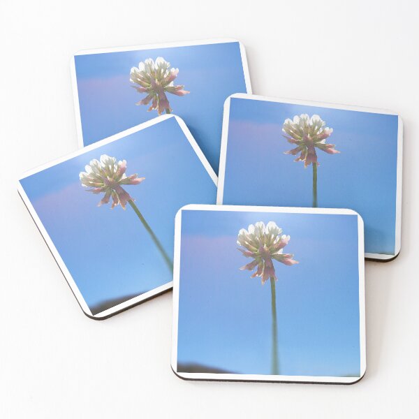 Item preview, Clover Flower in the Sunlight  designed and sold by DesignsbyRandR.