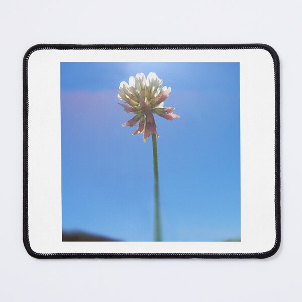 Item preview, Clover Flower in the Sunlight  designed and sold by DesignsbyRandR.