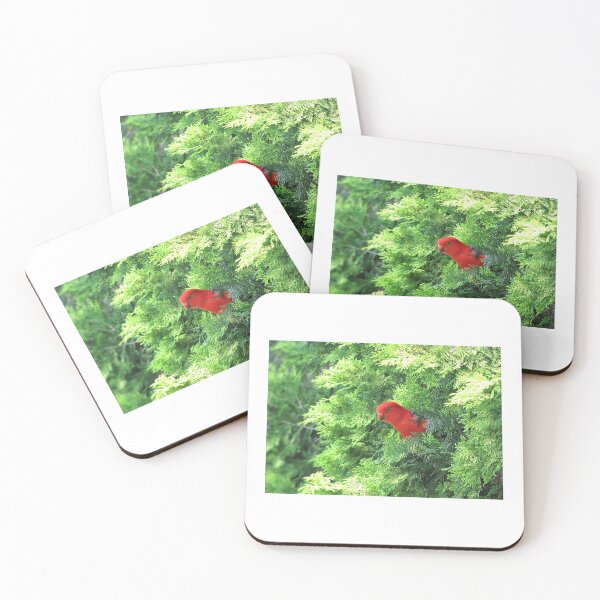 Item preview, Male King Parrot designed and sold by DesignsbyRandR.