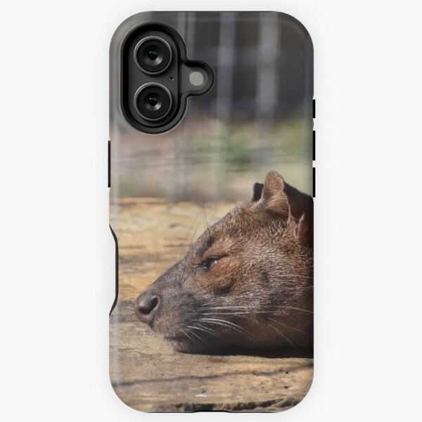 Item preview, Fossa designed and sold by Sharon the Zoo Lady Photography .