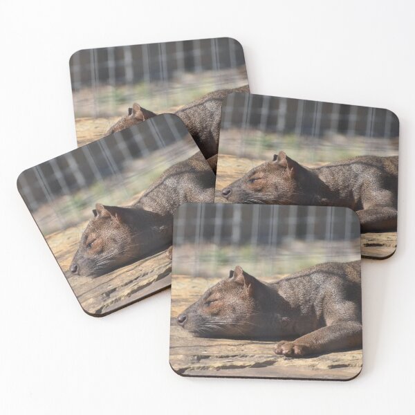 Item preview, Fosa designed and sold by Sharon the Zoo Lady Photography .