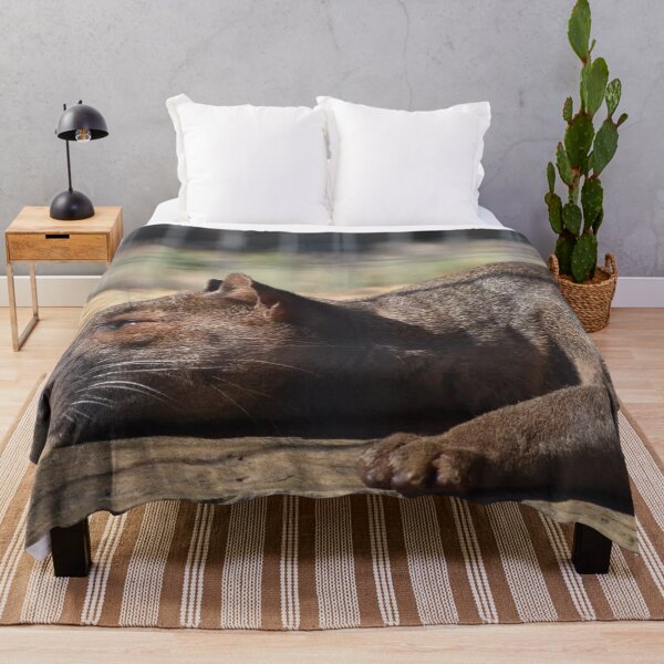 Item preview, Fossa designed and sold by Sharon the Zoo Lady Photography .