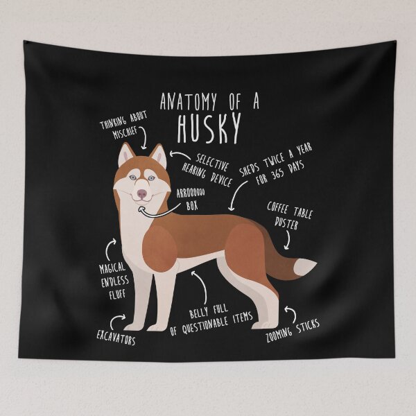 Item preview, Red Siberian Husky Dog Anatomy designed and sold by Clara Hollins.