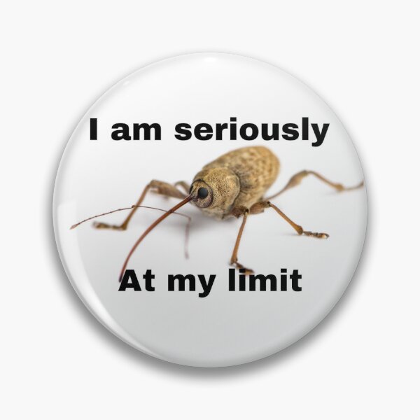 Item preview, I am seriously at my limit acorn weevil designed and sold by Magironi.