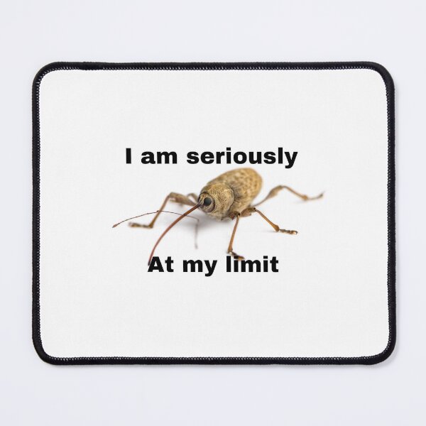 Item preview, I am seriously at my limit acorn weevil designed and sold by Magironi.