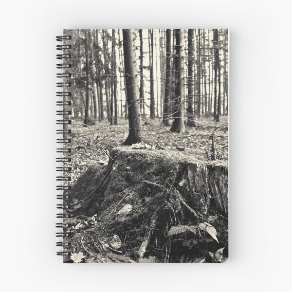 Item preview, HDR daylight autumnous tree stump black and white designed and sold by Michael Hofmann.
