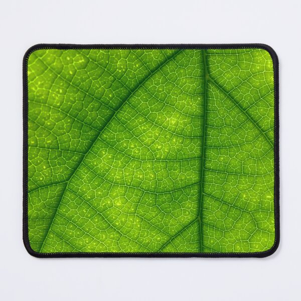 Item preview, Green leaf, close up. designed and sold by claireseyeview.