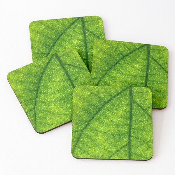 Item preview, Green leaf, close up. designed and sold by claireseyeview.