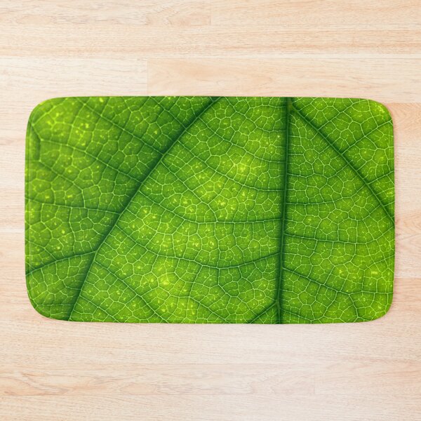 Item preview, Green leaf, close up. designed and sold by claireseyeview.