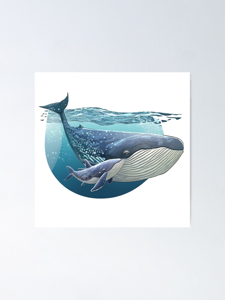 Humpback Whale Swimming Baby peachycrossing Poster for Redbubble Whale\
