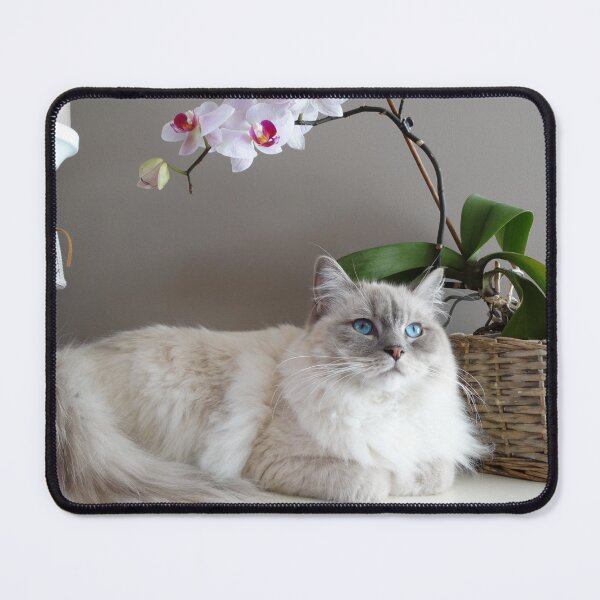 Item preview, Beautiful Blues designed and sold by CheriseArthur.