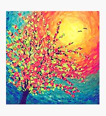 Pretty Rose Sunset with Birds Photographic Print