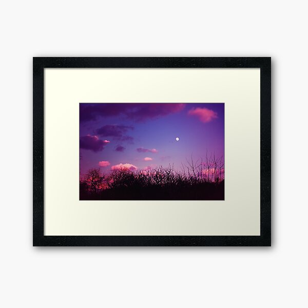 Framed Art Print