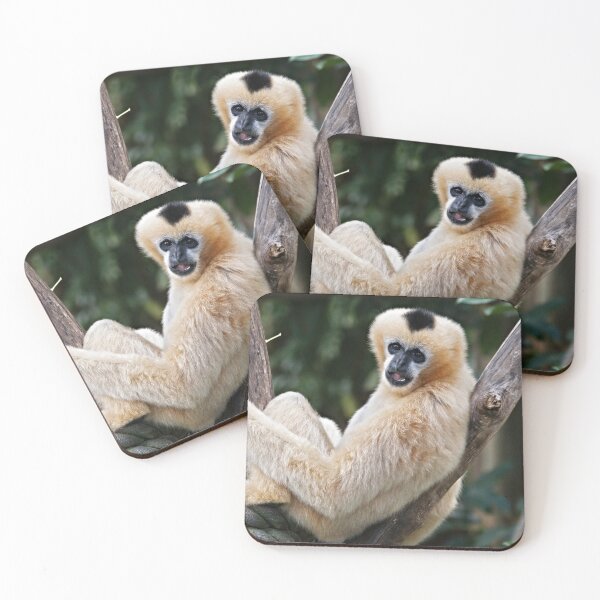 Item preview, white-cheeked gibbon designed and sold by rogersmith.