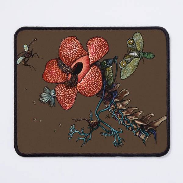 Item preview, Hypoglossal Nerve & Insects of Borneo designed and sold by FreyStrandDraws.