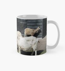 Goats Tasse (Standard)