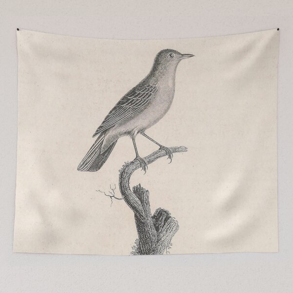 Item preview, The Grey Throated Warbler designed and sold by ptMaker.