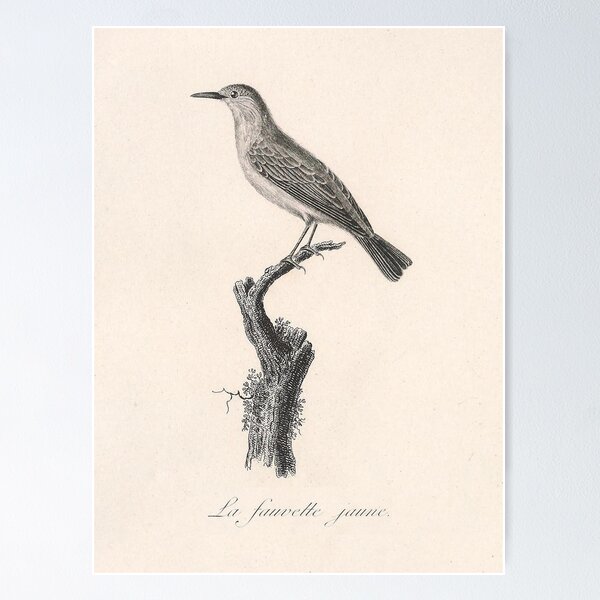 Item preview, The Yellow Warbler designed and sold by ptMaker.
